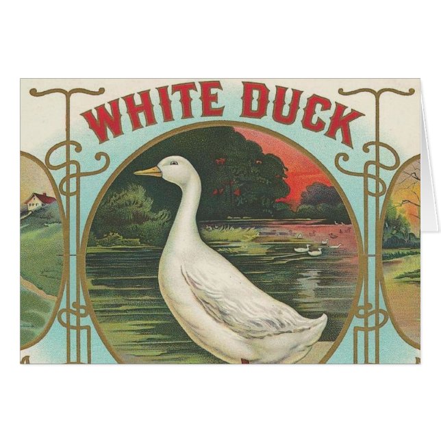 White Duck (Front Horizontal)