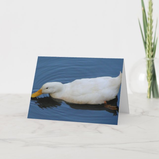 White Duck Card (Front)