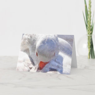 White Duck Preening Art Card