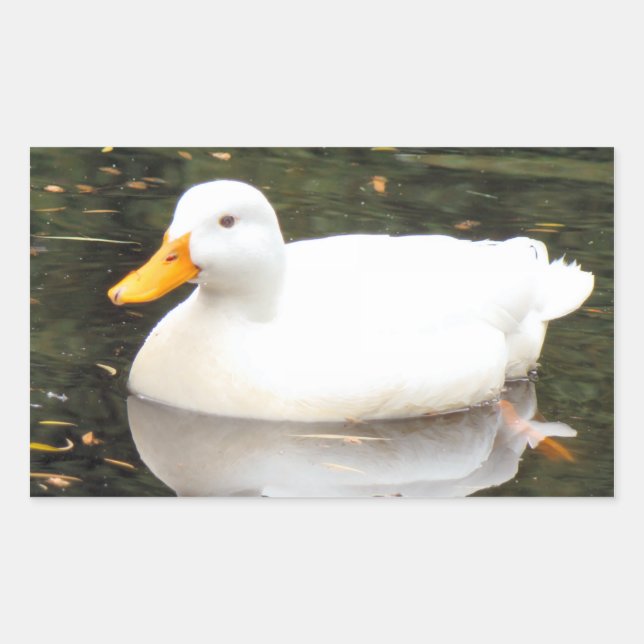 White Duck Stickers (Front)