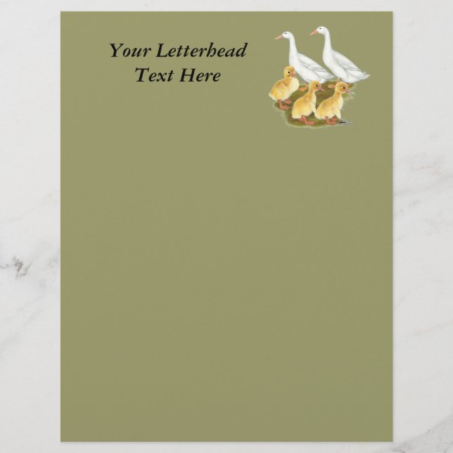 White Ducks and Ducklings (Front)