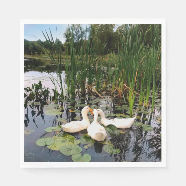 White ducks, lily pads, cattails, lake shore napkin (Front)