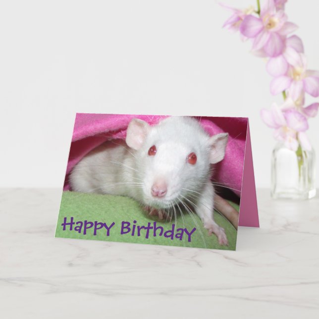 White Dumbo rat birthday card (Orchid)