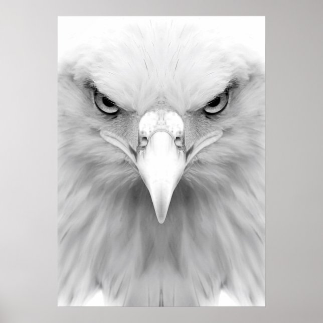 White eagle poster (Front)