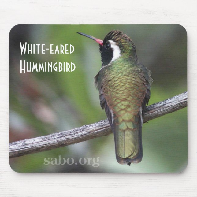 White-eared Hummingbird Mousepad (Front)