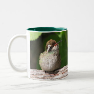 White-eared Hummingbird Mug, left-handled Two-Tone Coffee Mug