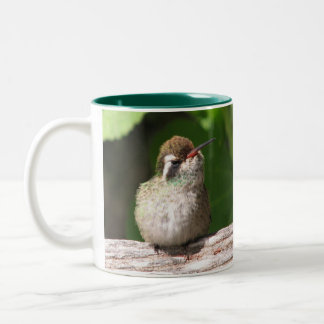 White-eared Hummingbird Mug, left-handled Two-Tone Coffee Mug