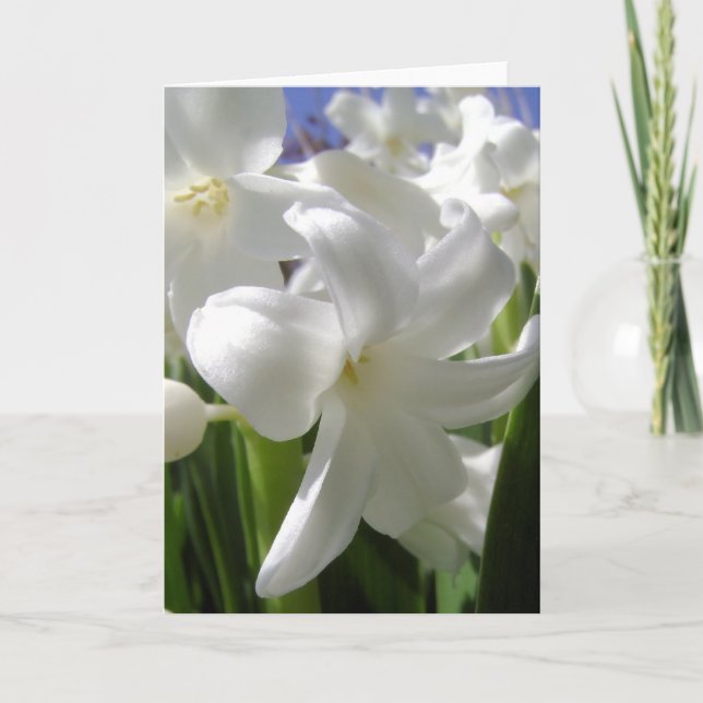 White Easter Lilly Holiday Card (Front)