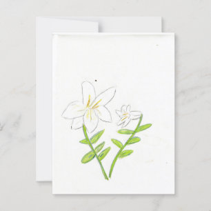 White Easter Lily  Postcard