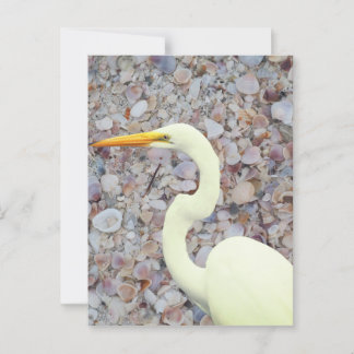 White egret postcard