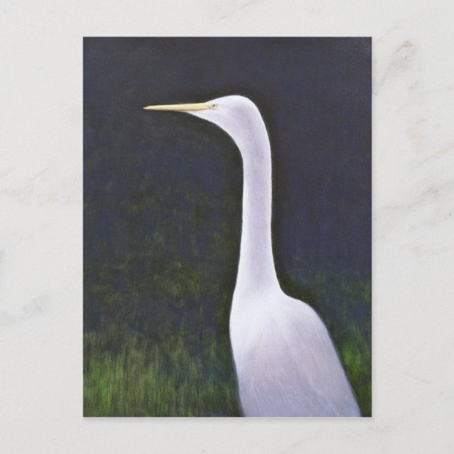 White Egret Postcard (Front)