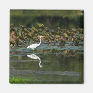 White Egret Reflection Magnet