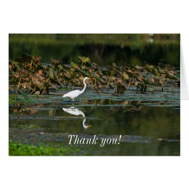 White Egret Reflection Thank You Card (Front Horizontal)