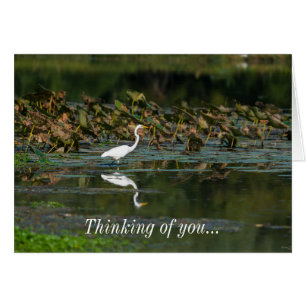 White Egret Reflection Thinking Of You Card
