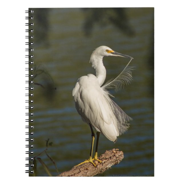 White Egret Spiral Photo Notebook (Front)