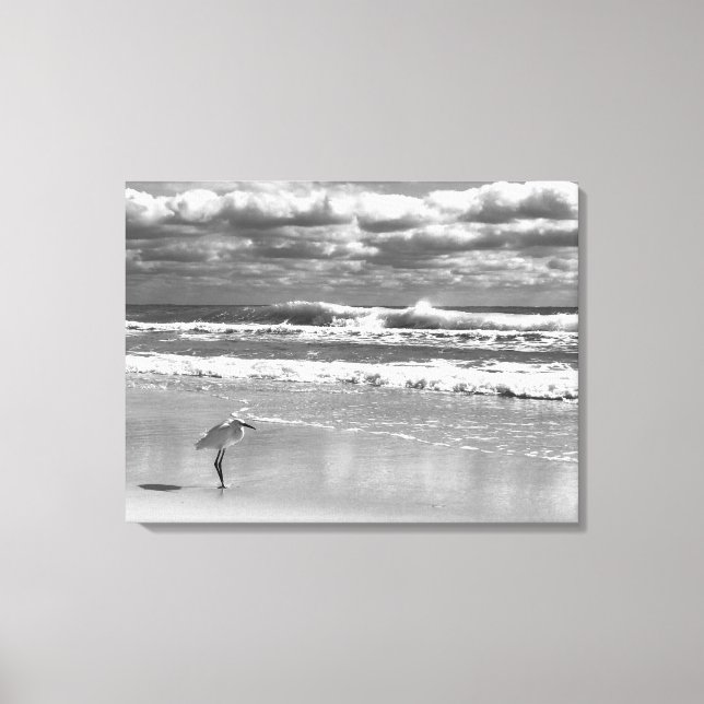 White Egret Stretched Canvas Print (Front)