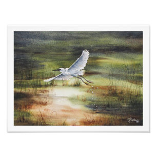 White Egret Watercolor  Photo Print