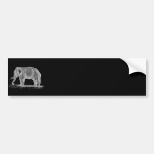 White Elephant Vintage 1800s Illustration Bumper Sticker
