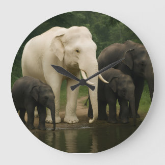 White elephant with family large clock