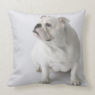White English Bulldog Throw Pillow