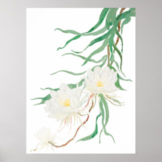 white epiphyllum flower watercolor Poster