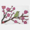 White Eye, Plum Tree, Bird