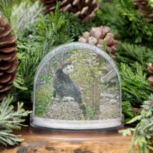 White -faced black kitty snowglobe