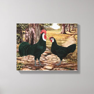White Faced Black Spanish Rooster and Hen - Woods Canvas Print