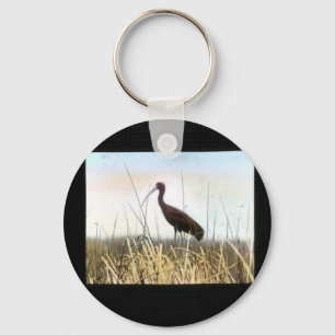 White-faced Ibis Keychain