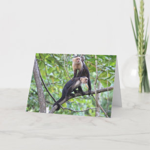 White-Faced Monkey Family Photo Card