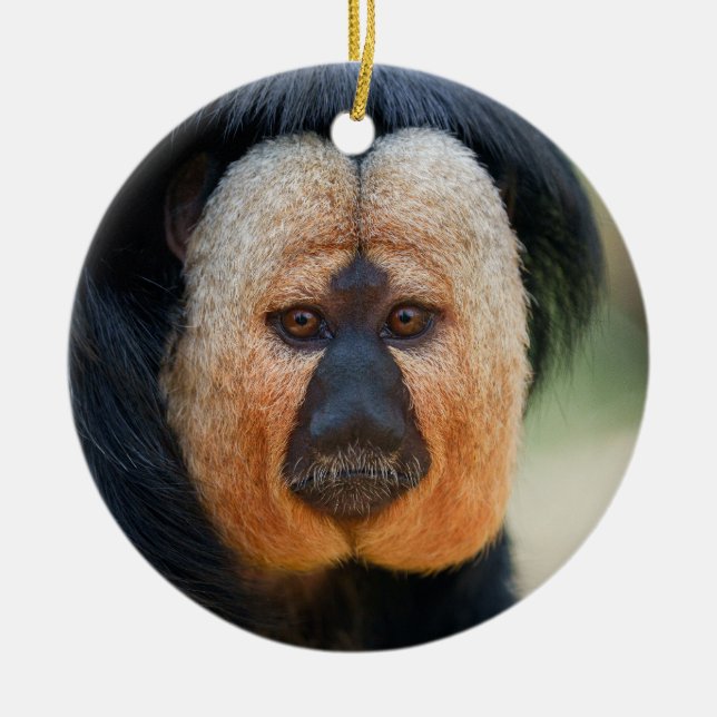 White-faced Saki Ceramic Ornament (Front)