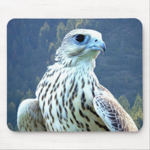 White falcon mouse pad