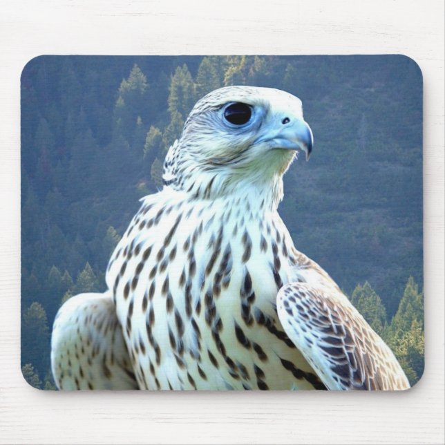 White falcon mouse pad (Front)