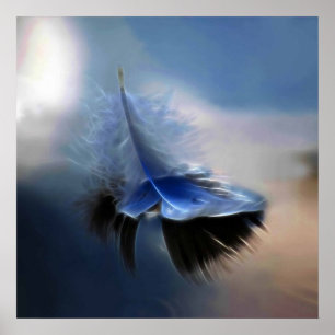 White feather sailing poster