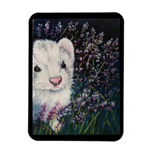 White ferret and lavender flowers magnet