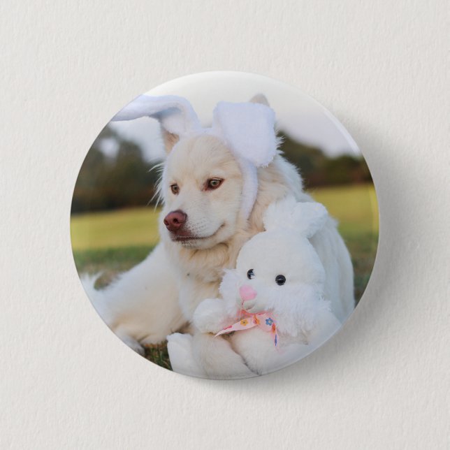 White Finnish Lapphund Puppy Cute 2 Inch Round Button (Front)
