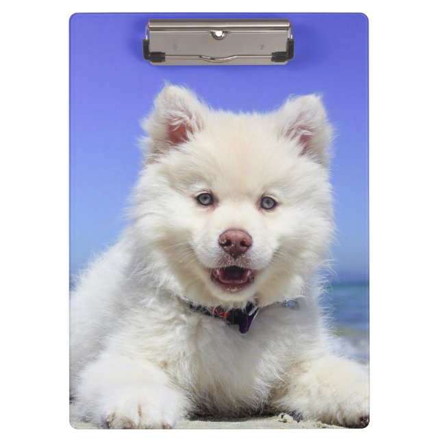 White Finnish Lapphund Puppy Cute Clipboard (Front)