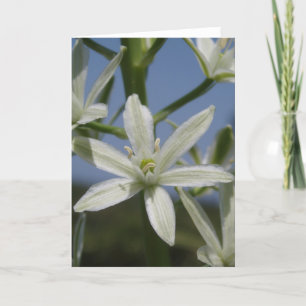 White Floral Greeting Card