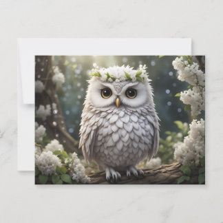 White Floral Owl Postcard