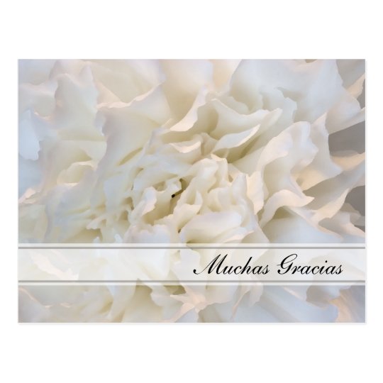White Floral Spanish Thank You Postcard