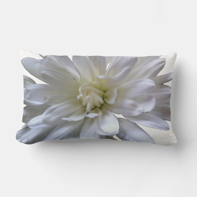 White floral white daisy white mum white flower lumbar pillow (Front)