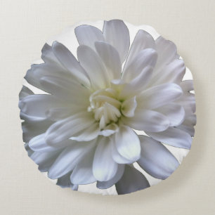 White floral white daisy white mum white flower round pillow