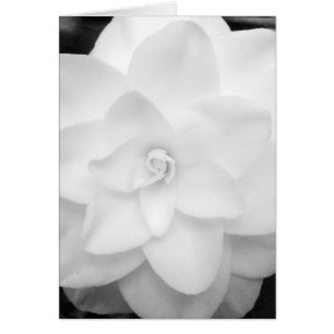 White Flower. (Black and White) - Customized