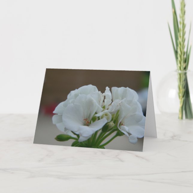 White flower card (Front)