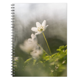 White Flower Nature Photo Notebook