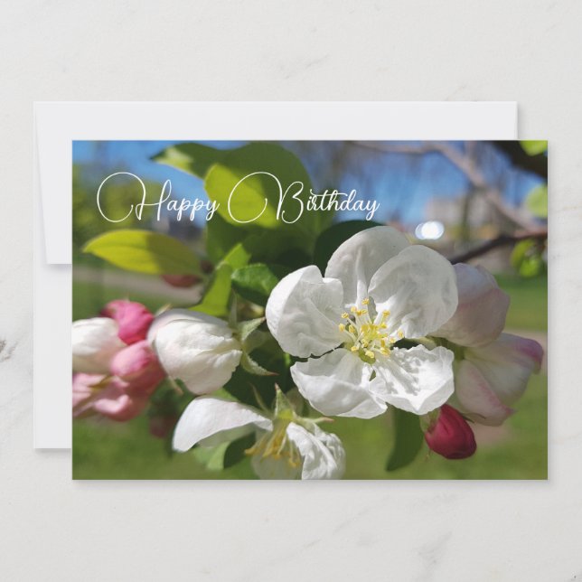 White flower of an apple tree. Happy Birthday Invitation (Front)