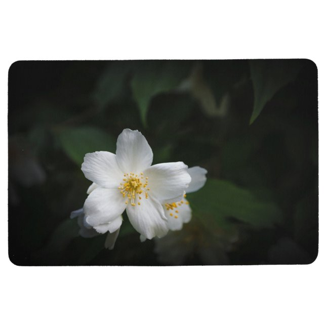 White flower of Jasmine (Philadelphus) Floor Mat (Front)