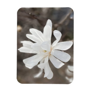 White Flower Photo Magnet