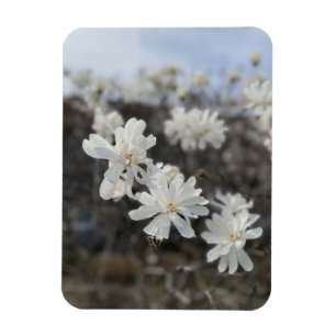 White Flower Photo Magnet