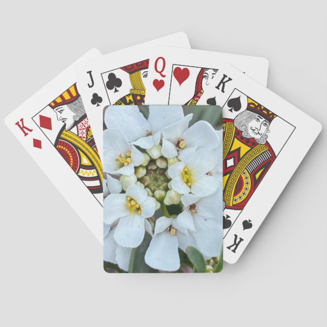white flower playing cards (Back)